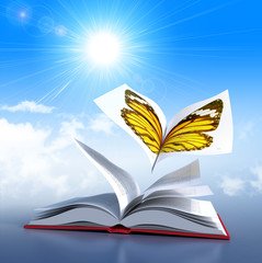 butterfly book
