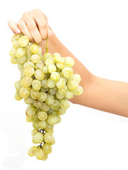 green grapes in a hand on a white background