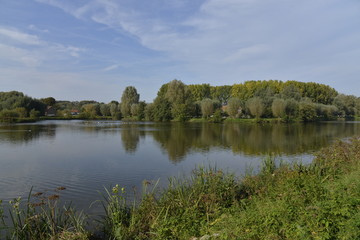 La nature entourant l'étang principal du parc de Neerpede