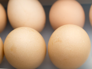 eggs