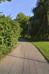 Chemin dallé courbé au parc de Neerpede