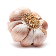 garlic isolated