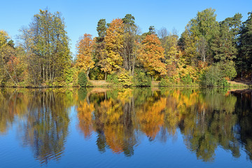 Symmetrical landscape with trees reflecting in a lake in autumn