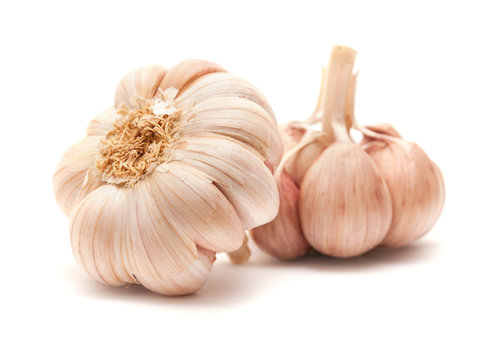 garlic isolated