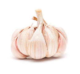 garlic isolated