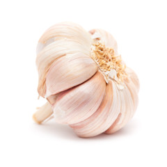 garlic isolated