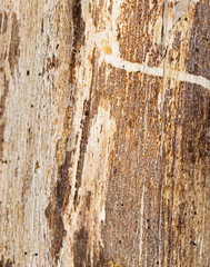 old wooden background