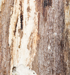 old wooden background