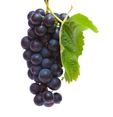 dark grapes isolated