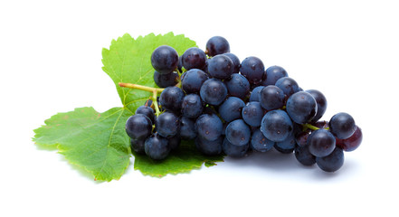 dark grapes isolated