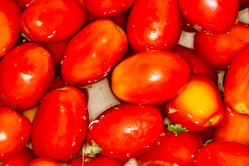 Fresh tomatoes in water