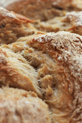 Freshly baked sunflower seed three strand bread plait