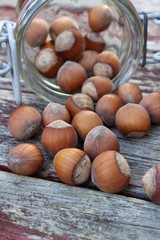 Hazelnuts