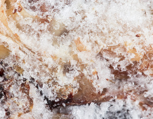 ice on the meat. close-up