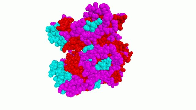 Molecule Structure of Ebola Virus VP40 Dimer protein