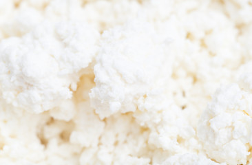 white curd as background. macro
