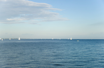 Segelboote am Bodensee