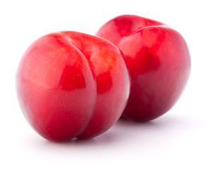 Obraz premium Sweet plum isolated on white background cutout