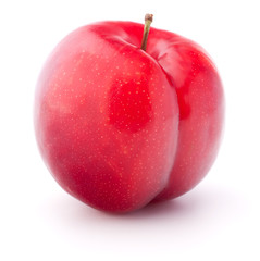 Sweet plum isolated on white background cutout