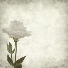textured old paper background
