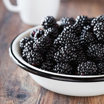 Fresh blackberries in metal bowl, selective focus