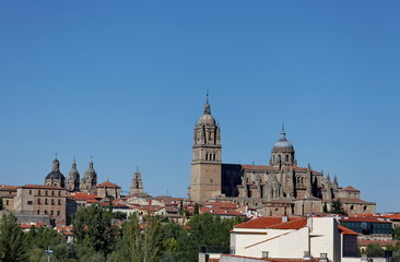 Cathédrale de Salamanque. Salamanca.