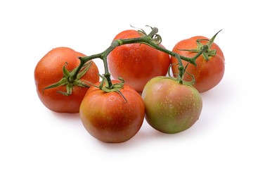 Fresh red tomato with green stem on white background