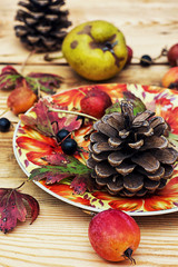 autumn fruits and berries on wooden table