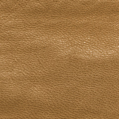 light  brown leather texture
