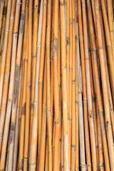 Dried bamboo.