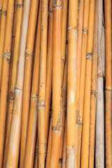 Dried bamboo.