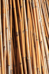 Fototapeta premium Dried bamboo.