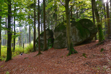 Granit Felsen Fichtelgebirge