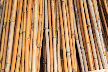 Dried bamboo.