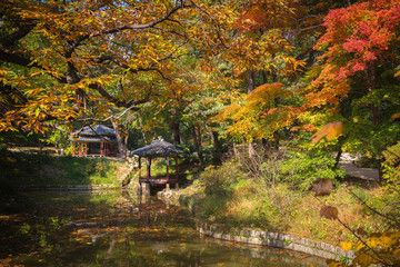 Obraz premium Biwon Garden