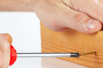 Tightening screws in a wooden block with a screwdriver closeup