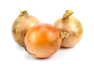 Onion vegetable bulbs on white background cutout