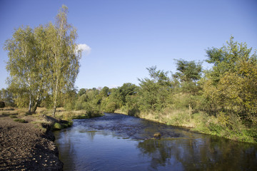 Flussbett in Deutschland