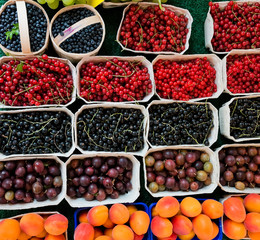 Berries and fruit