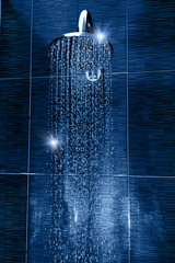 shower head © Yuriy Chertok