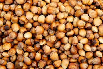 hazelnuts