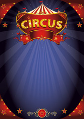 Fantastic night circus poster