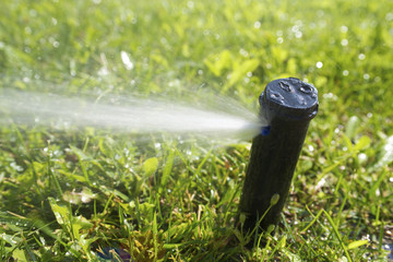 Sprinkler