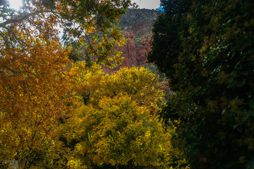 Sedona Arizona USA Fall Colors