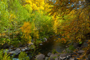 Sedona Arizona USA Fall Colors