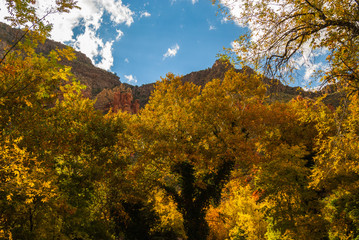 Fototapeta premium Sedona Arizona USA Fall Colors