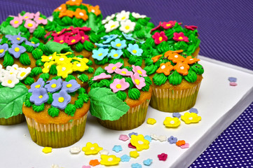 Cupcakes