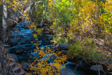 Sedona Arizona USA Fall Colors