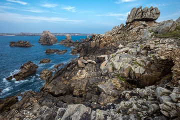 Fototapeta na wymiar Sharp rocky coastline