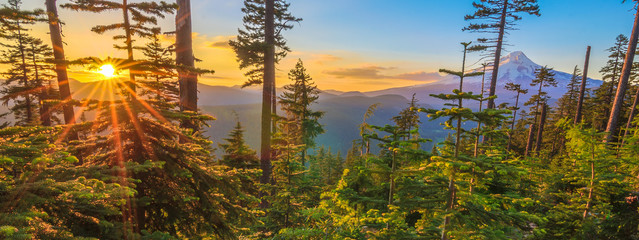 Beautiful Vista of Mount Hood in Oregon, USA. - obrazy, fototapety, plakaty
